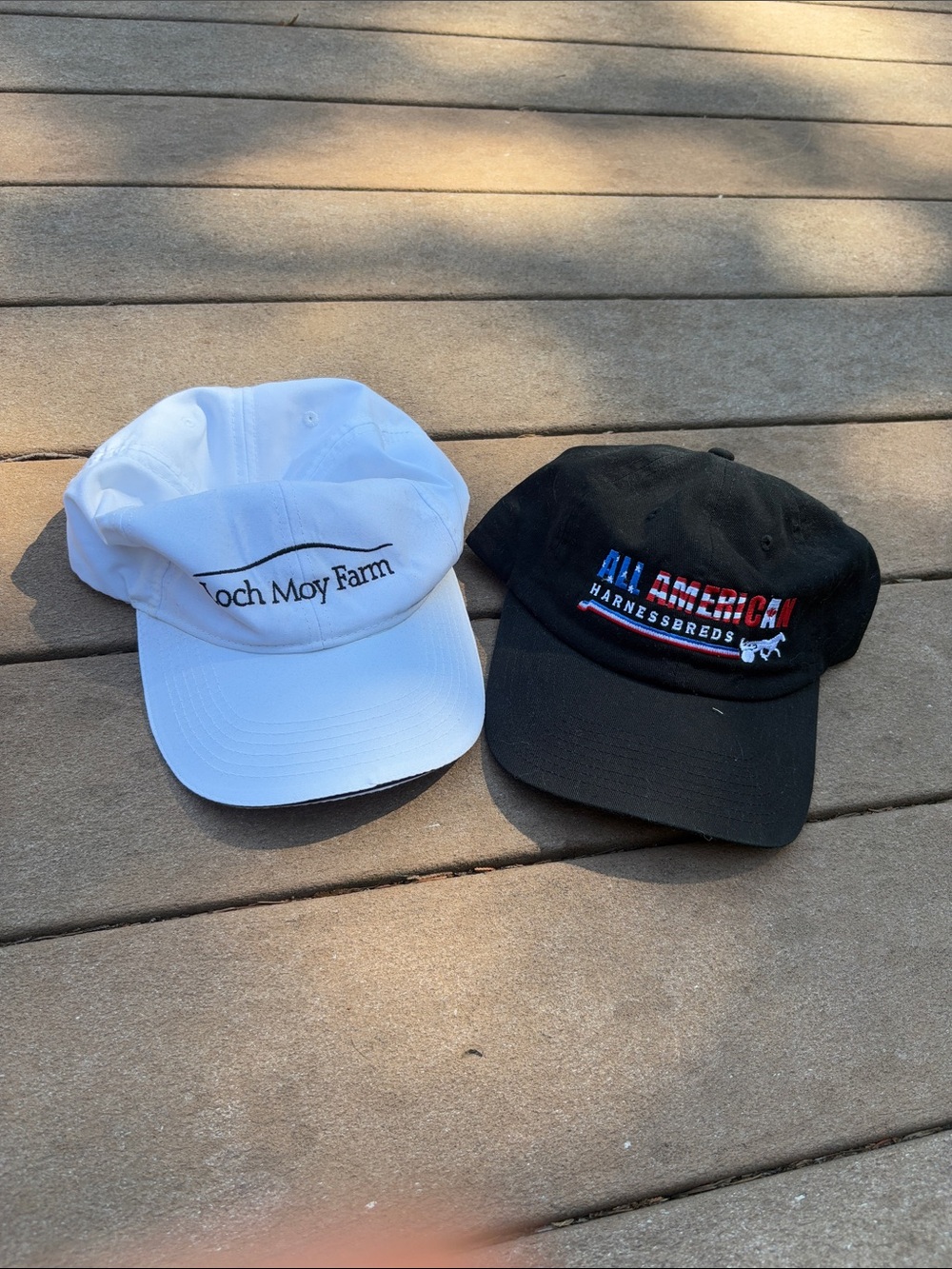 Set of Equine Ball Caps